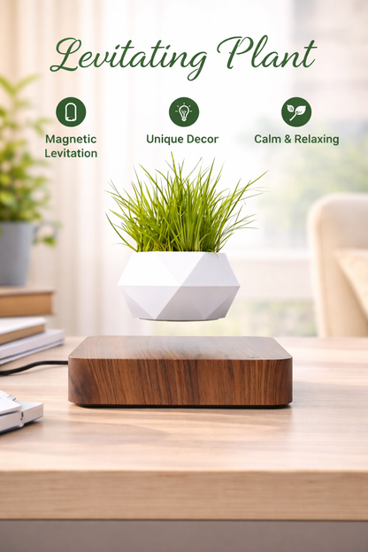 Potted Plant Home Desk Decor